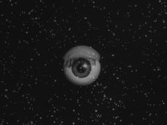 TZ eyeball